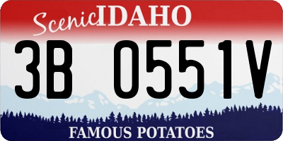 ID license plate 3B0551V