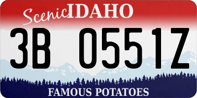 ID license plate 3B0551Z