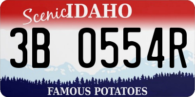 ID license plate 3B0554R