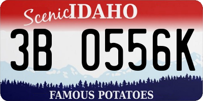 ID license plate 3B0556K