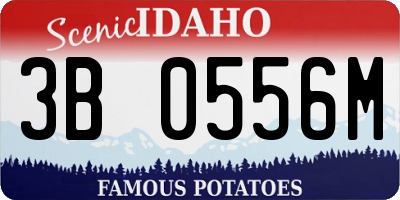 ID license plate 3B0556M