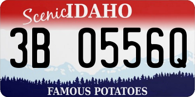 ID license plate 3B0556Q