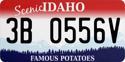 ID license plate 3B0556V