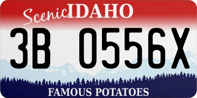 ID license plate 3B0556X