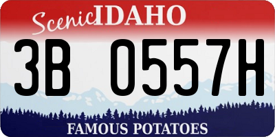 ID license plate 3B0557H