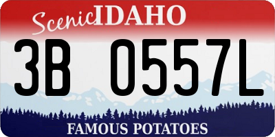 ID license plate 3B0557L