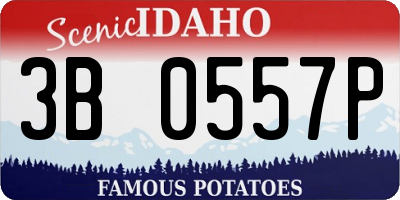 ID license plate 3B0557P
