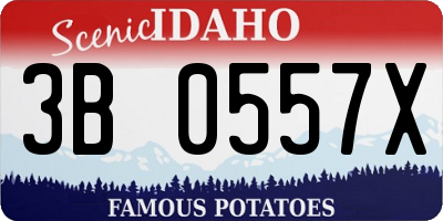 ID license plate 3B0557X