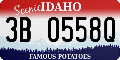 ID license plate 3B0558Q