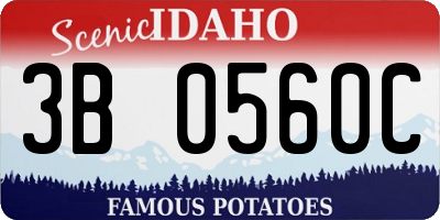 ID license plate 3B0560C