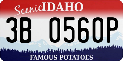 ID license plate 3B0560P