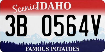 ID license plate 3B0564V