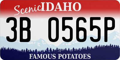 ID license plate 3B0565P
