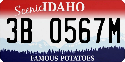 ID license plate 3B0567M