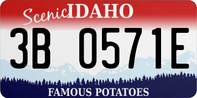 ID license plate 3B0571E