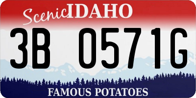 ID license plate 3B0571G