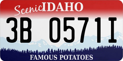ID license plate 3B0571I