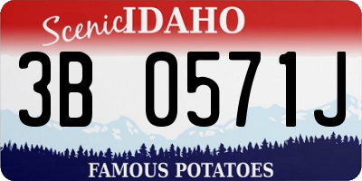 ID license plate 3B0571J