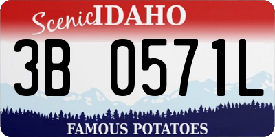 ID license plate 3B0571L