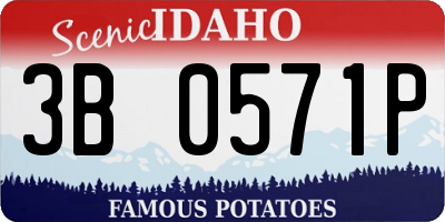 ID license plate 3B0571P