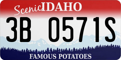 ID license plate 3B0571S