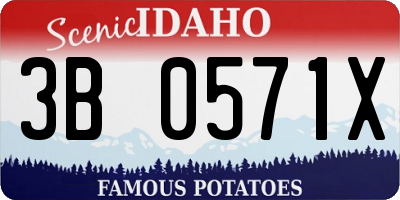 ID license plate 3B0571X