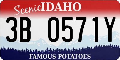 ID license plate 3B0571Y