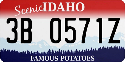 ID license plate 3B0571Z