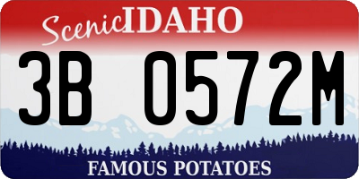 ID license plate 3B0572M