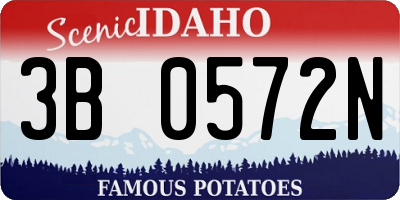 ID license plate 3B0572N