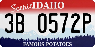 ID license plate 3B0572P