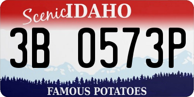 ID license plate 3B0573P