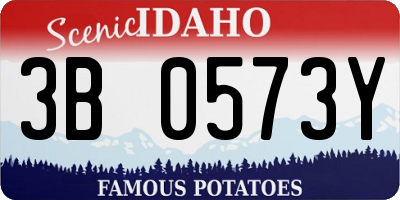 ID license plate 3B0573Y