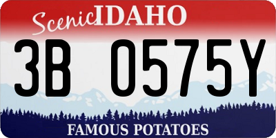 ID license plate 3B0575Y
