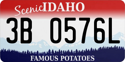ID license plate 3B0576L