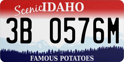 ID license plate 3B0576M