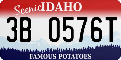 ID license plate 3B0576T