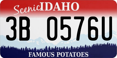 ID license plate 3B0576U