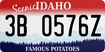 ID license plate 3B0576Z