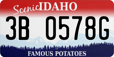 ID license plate 3B0578G