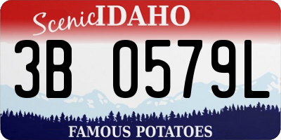 ID license plate 3B0579L