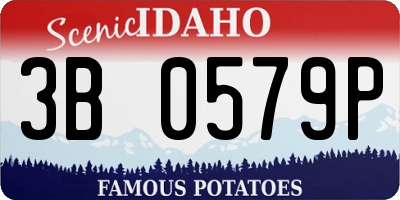ID license plate 3B0579P
