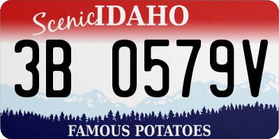 ID license plate 3B0579V