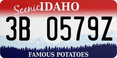 ID license plate 3B0579Z