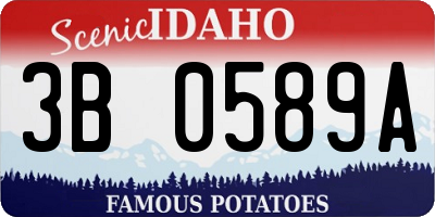ID license plate 3B0589A