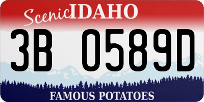 ID license plate 3B0589D