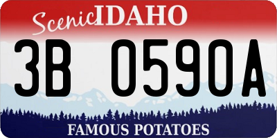 ID license plate 3B0590A