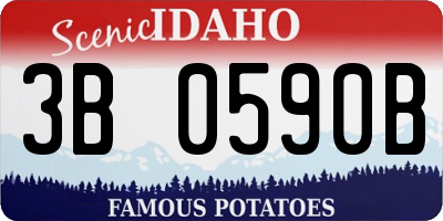 ID license plate 3B0590B