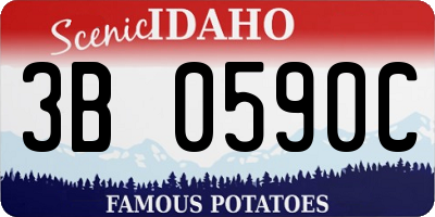 ID license plate 3B0590C