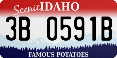 ID license plate 3B0591B